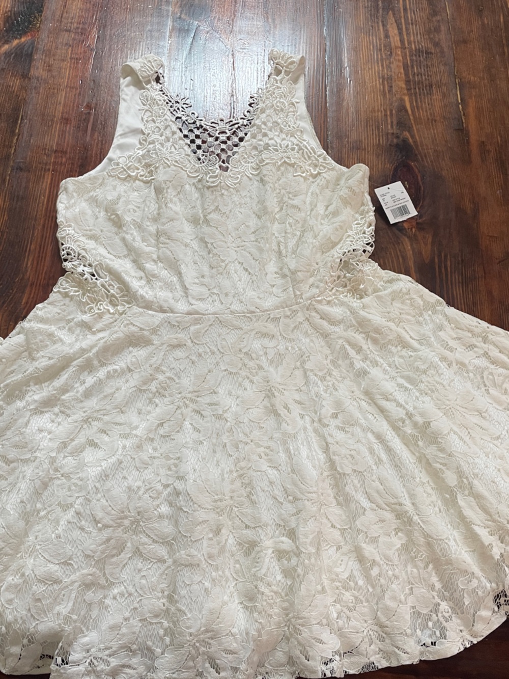David's Bridal Ivory Lace Sleeveless A-Line Wedding Dress